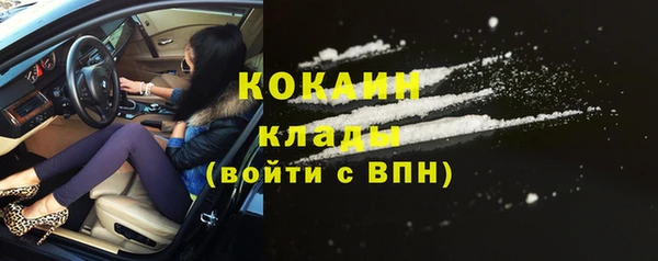 гидра Елабуга