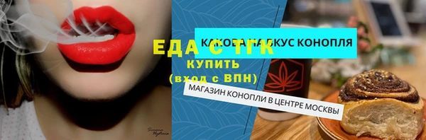 гидра Елабуга