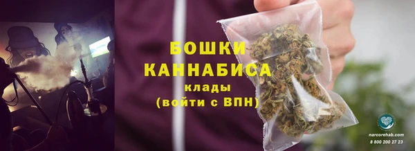дурь Ельня