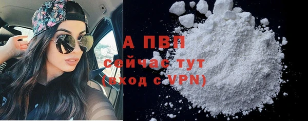 гидра Елабуга