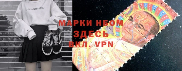 дурь Ельня