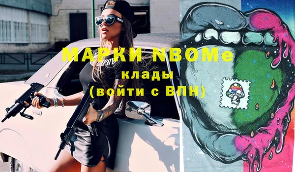 дурь Ельня